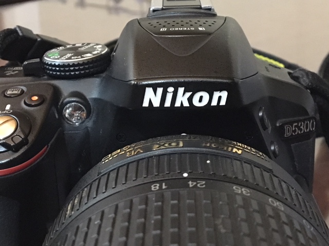 初めての方におススメ！※必読 Nikon D5300 標準レンズ、望遠レンズ付き